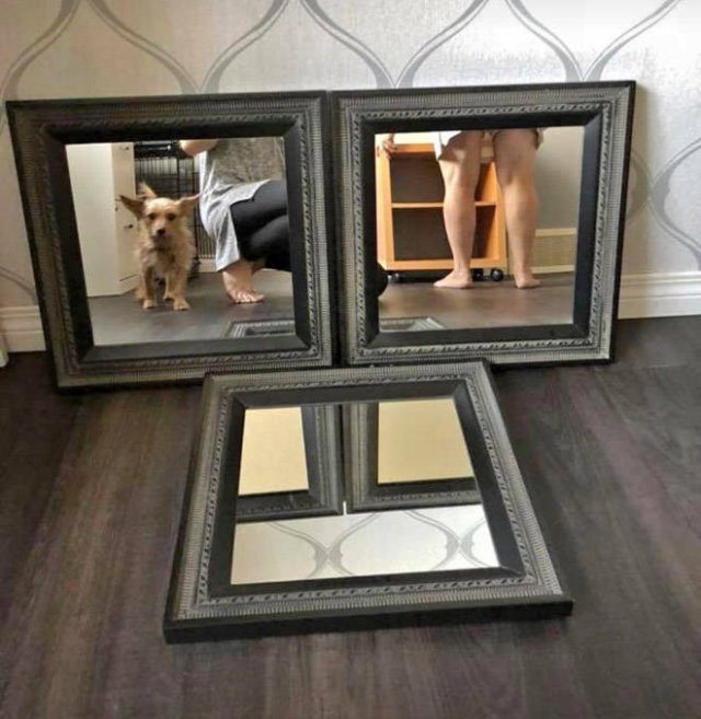 People Try To Sell Mirrors (22 pics)