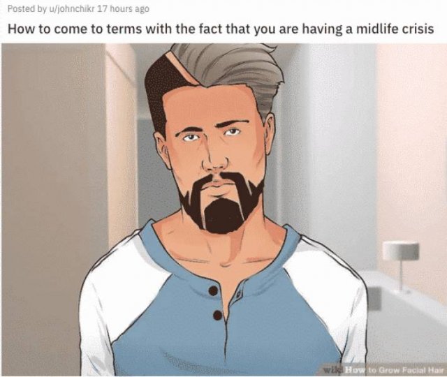WikiHow Memes (45 pics)