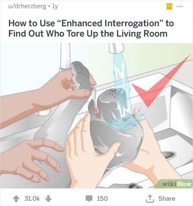 WikiHow Memes (45 pics)