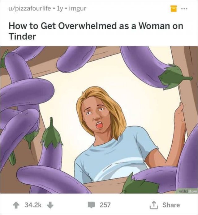 WikiHow Memes (45 pics)
