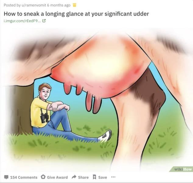 WikiHow Memes (45 pics)