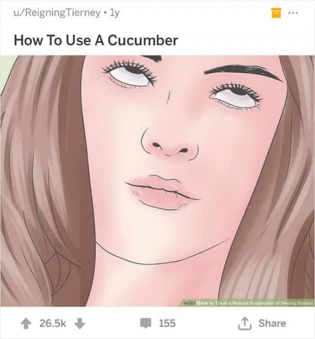 WikiHow Memes (45 pics)