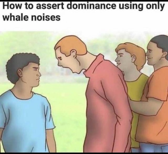 WikiHow Memes (45 pics)
