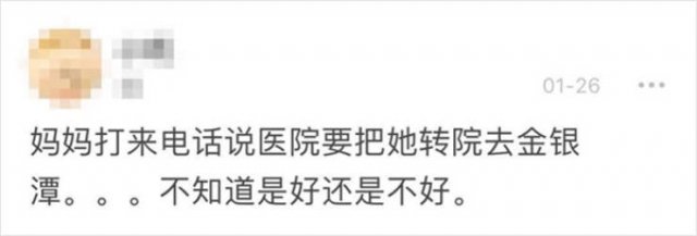 Wuhan's Diary: Girl Writes About Coronavirus Events (18 pics)