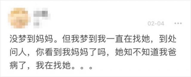 Wuhan's Diary: Girl Writes About Coronavirus Events (18 pics)