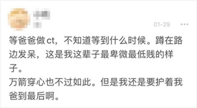 Wuhan's Diary: Girl Writes About Coronavirus Events (18 pics)