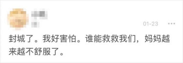 Wuhan's Diary: Girl Writes About Coronavirus Events (18 pics)