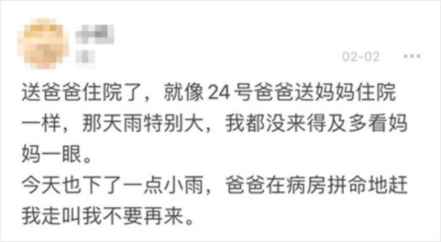 Wuhan's Diary: Girl Writes About Coronavirus Events (18 pics)