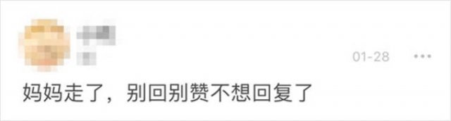 Wuhan's Diary: Girl Writes About Coronavirus Events (18 pics)