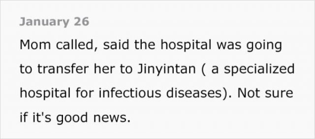 Wuhan's Diary: Girl Writes About Coronavirus Events (18 pics)