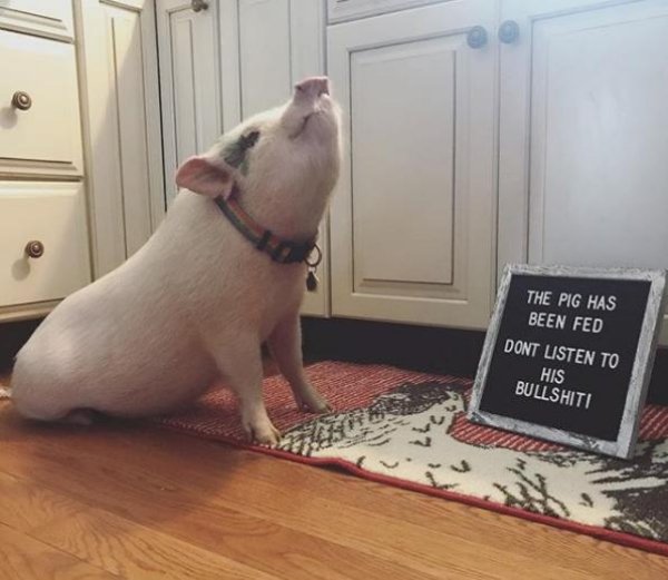 Stories Full Of Wholesomeness (28 pics)