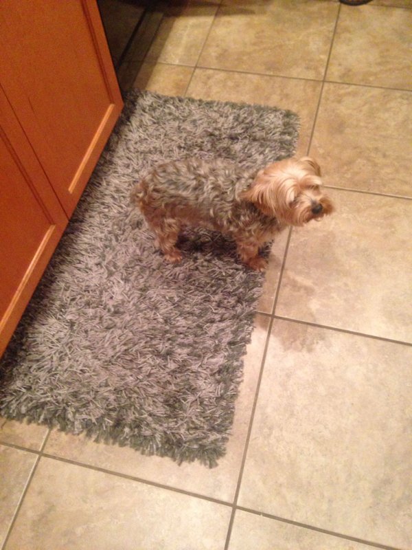 Perfect Camouflage (30 pics)