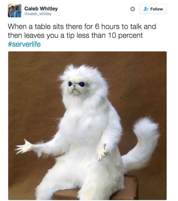 Service Industry Memes (30 pics)