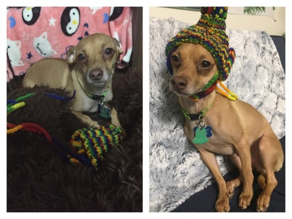 Stories Full Of Wholesomeness (28 pics)