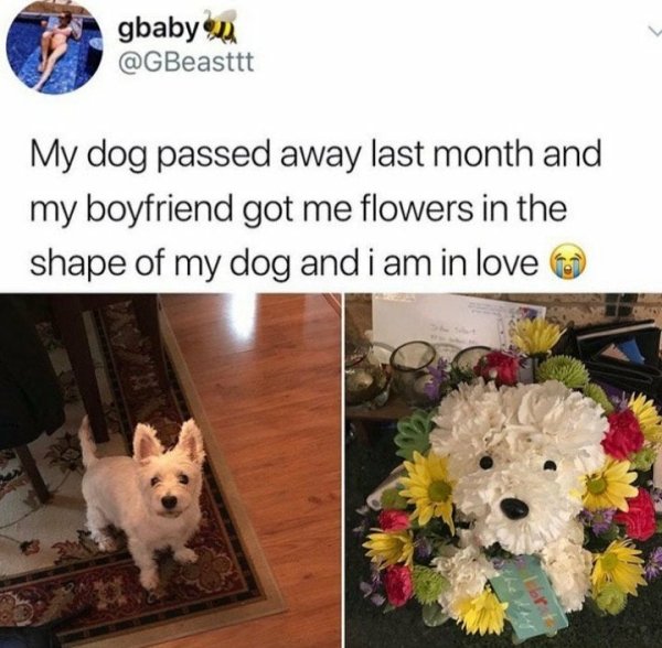 Stories Full Of Wholesomeness (28 pics)