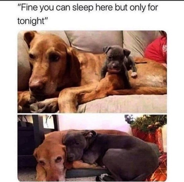 Stories Full Of Wholesomeness (28 pics)