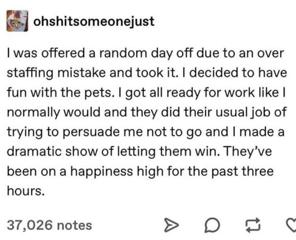 Stories Full Of Wholesomeness (28 pics)