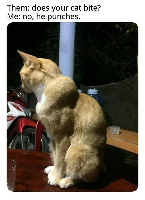 Acid Picdump. Part 2 (95 pics)