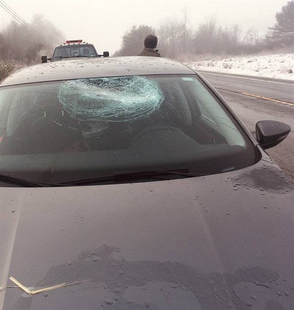 Car Fails (25 pics)