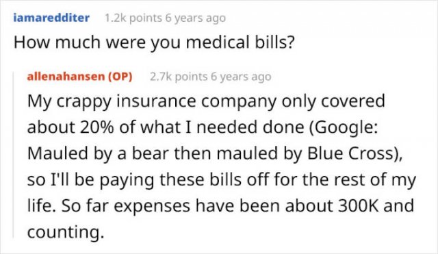 Bear Attack: Woman Tries To Get Her Health Insurance (15 pics)