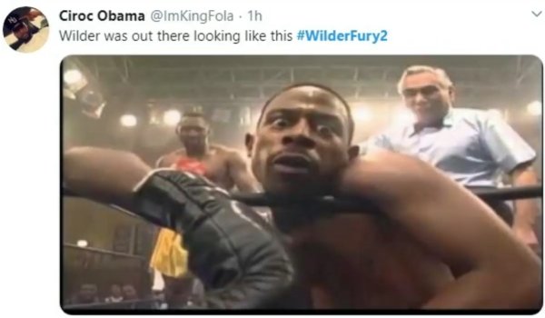 #WilderFury2 Memes (26 pics)