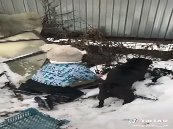 Adventures Of Mowgli - The Beginning