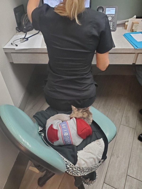 Work Memes (37 pics)
