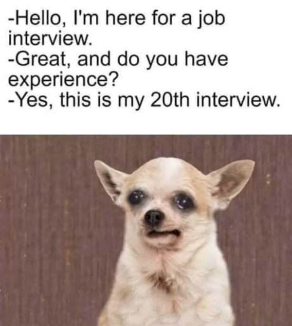 Work Memes (37 pics)