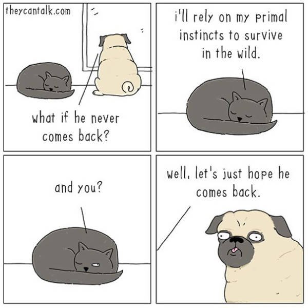 Animal Comics By Jimmy Craig (40 pics)