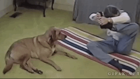 Fails (17 gifs)