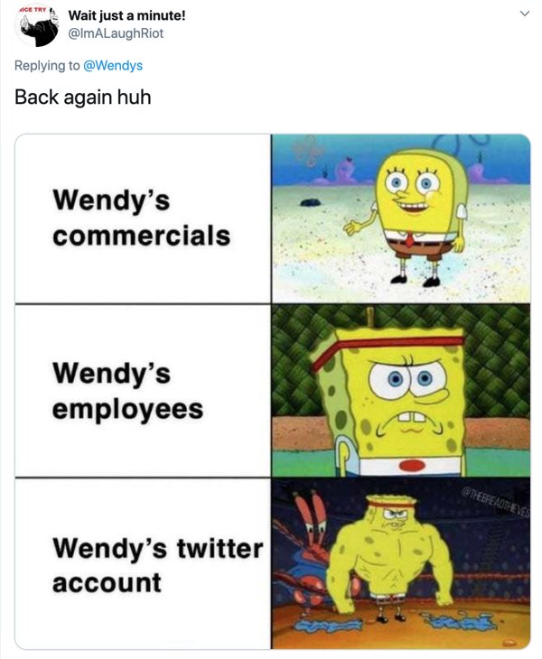 Burger King Announced New Sandwich: Wendy's Reaction (16 pics)