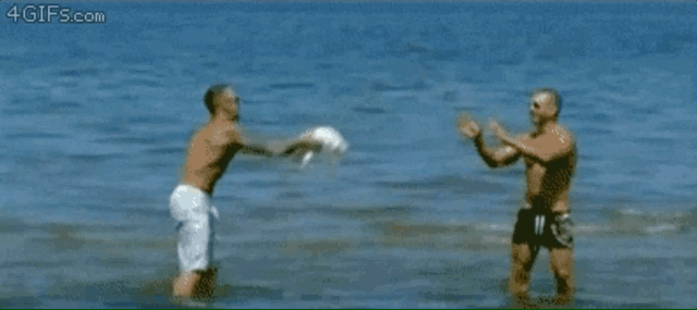 Fails (17 gifs)
