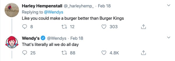 Burger King Announced New Sandwich: Wendy's Reaction (16 pics)
