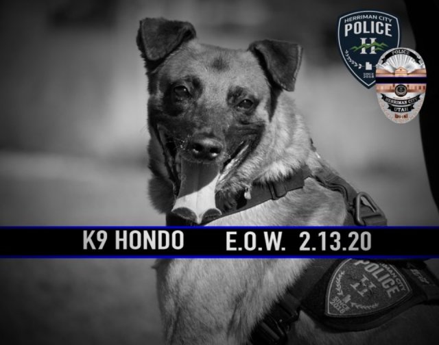 Motorcycle Artist Customized Casket For A Killed Police K-9 (13 pics)