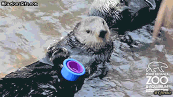 Fails (17 gifs)