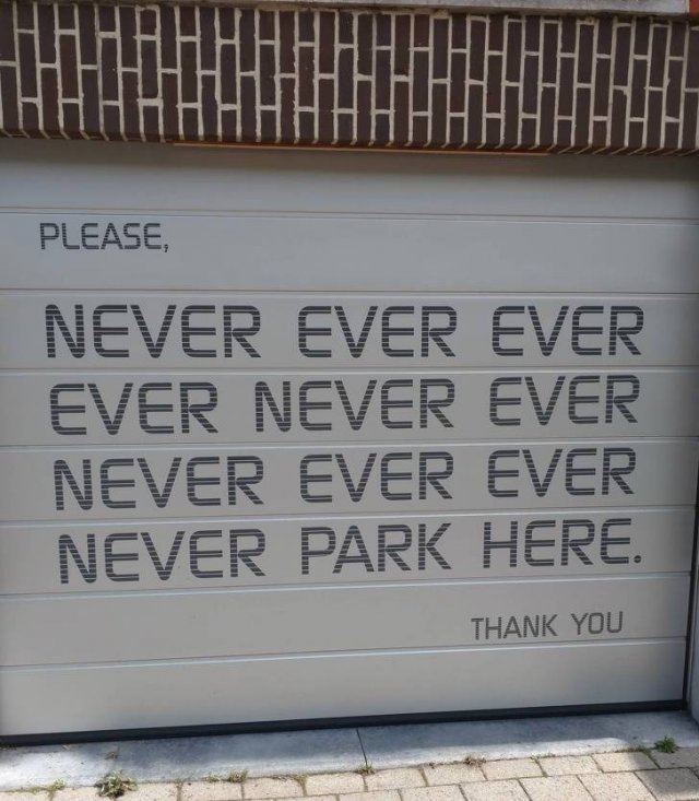 Neighborhood Stories (16 pics)