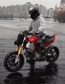 Random GIFs (21 gifs)