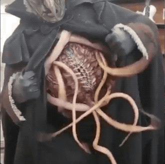 Random GIFs (21 gifs)