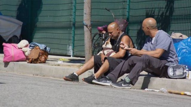 Californian Veterinarian Cures Homeless People's Animals For Free (13 pics)