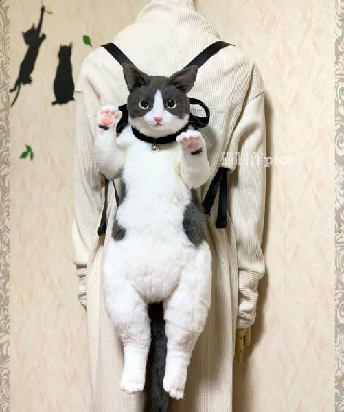 Cat Bags By Pico Miho (44 pics)