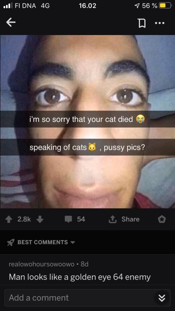 Sarcastic Comments (30 pics)