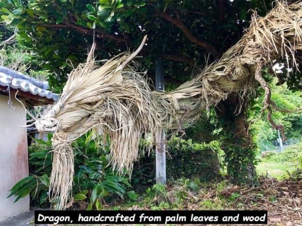 Talented People (30 pics)