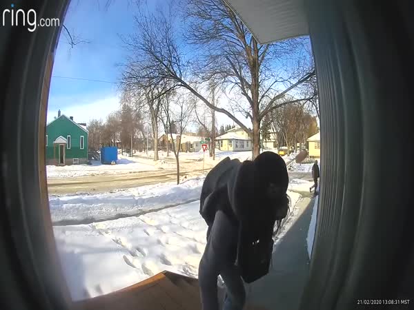 Package Thief Gets Instant Karma