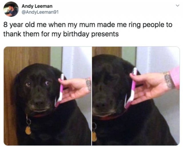 All Kids Do This (25 pics)