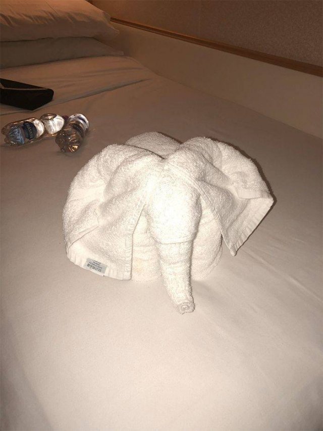 Folded Towels Art (30 pics)
