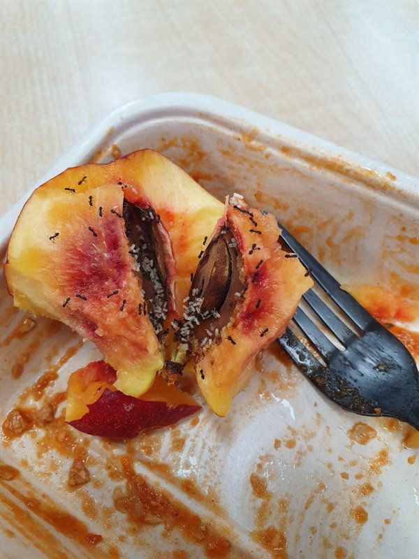 This Is How Pain Looks Like (25 pics)