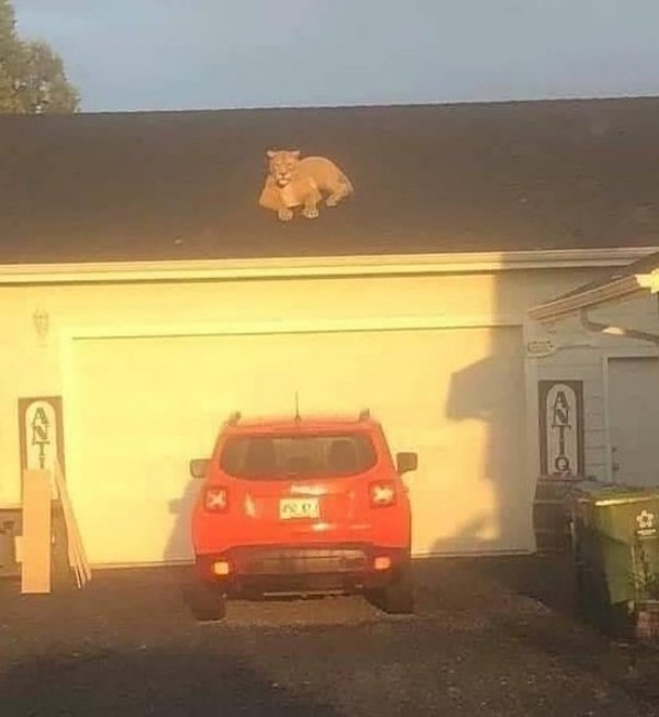 Acid Picdump. Part 2 (98 pics)