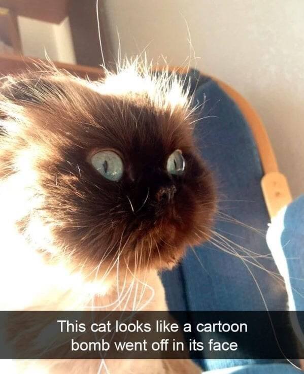 Acid Picdump. Part 2 (95 pics)