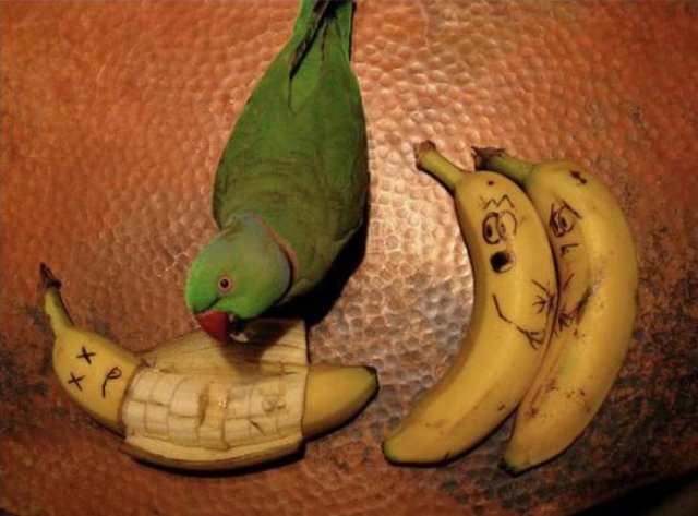 Acid Picdump. Part 2 (95 pics)