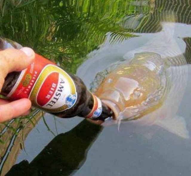 Acid Picdump. Part 2 (95 pics)